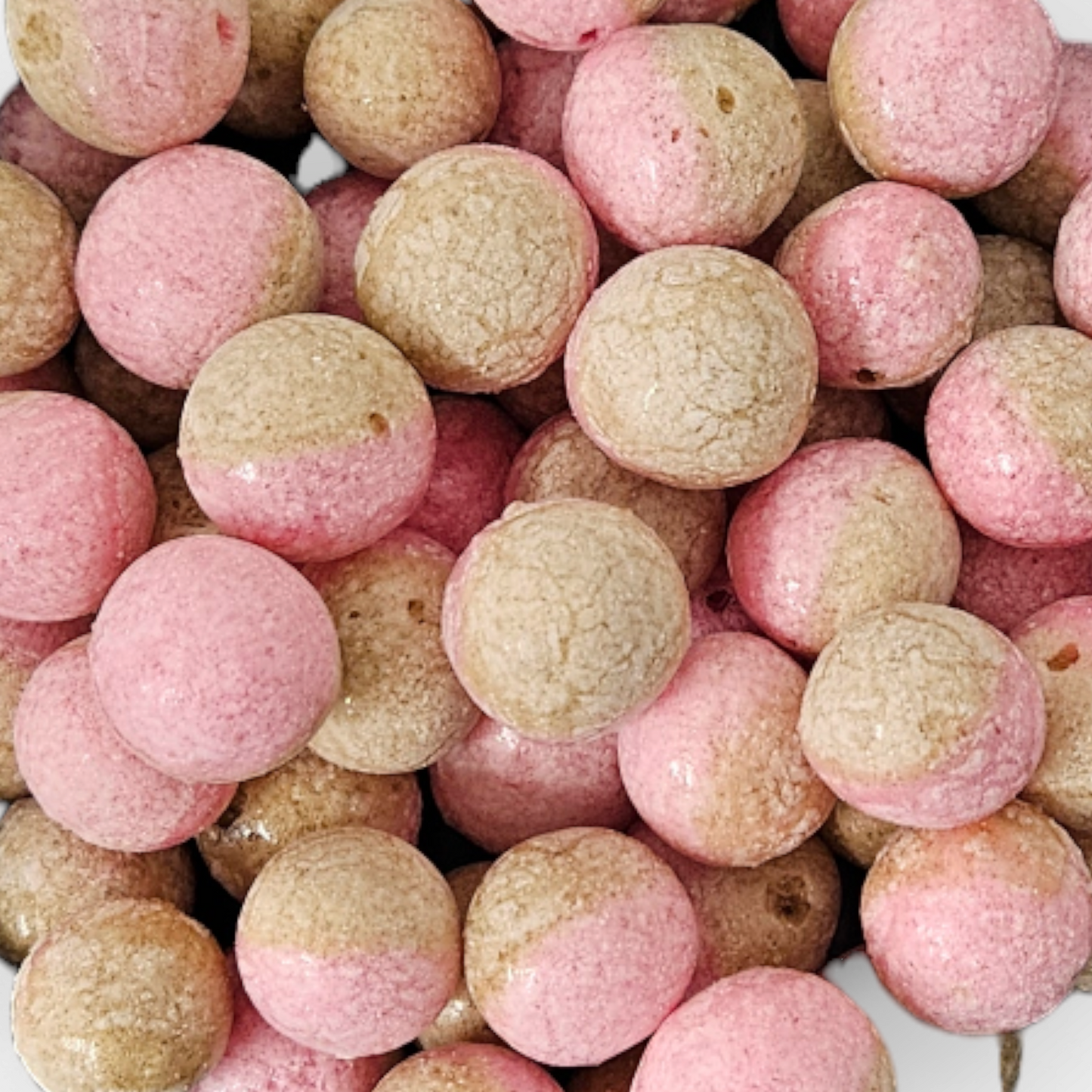 Freeze Dried Cola Pips 30g | Crunchy, Fizzy, Ready for Adventure