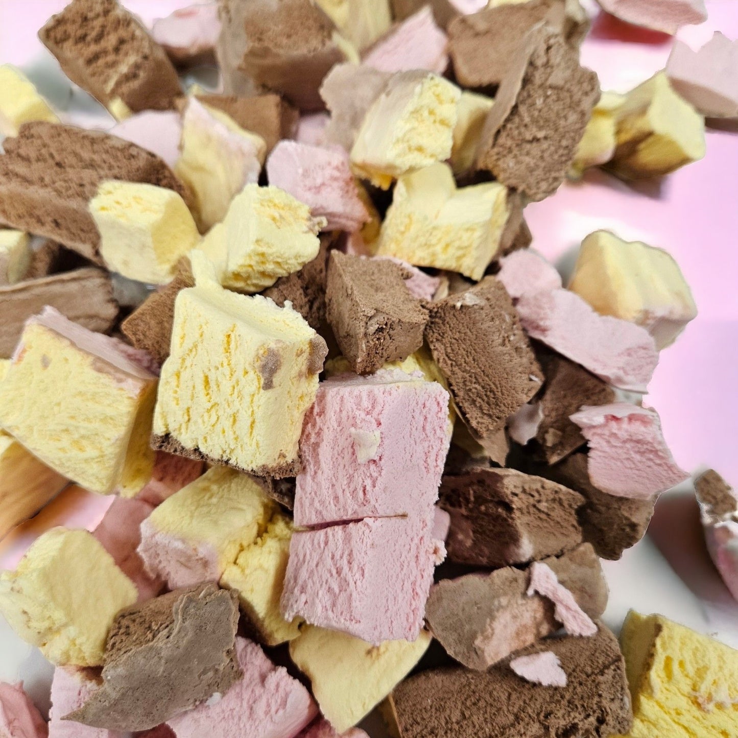 Freeze Dried Neapolitan Ice Cream 30g