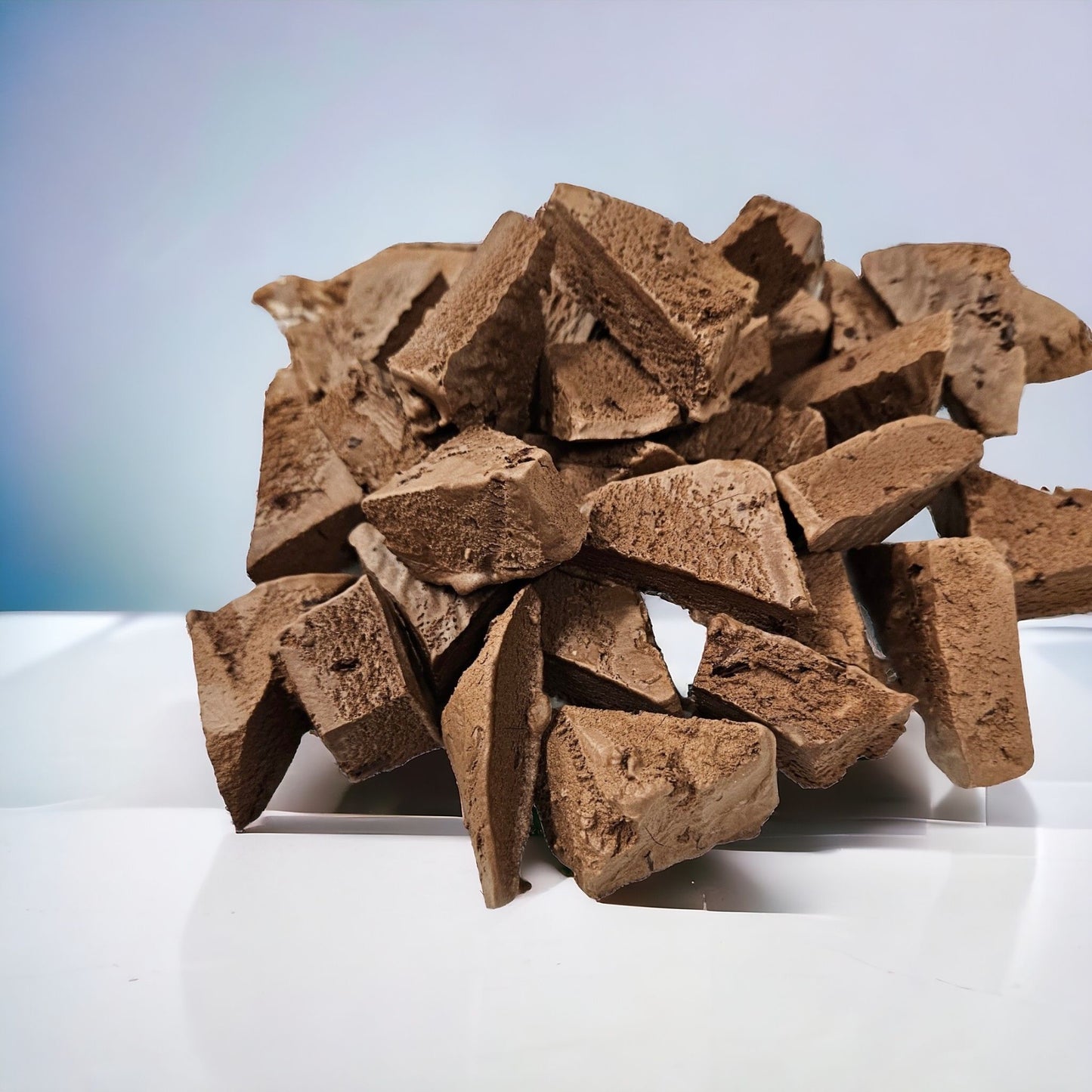 Freeze Dried Chocolate Ice Cream 30g