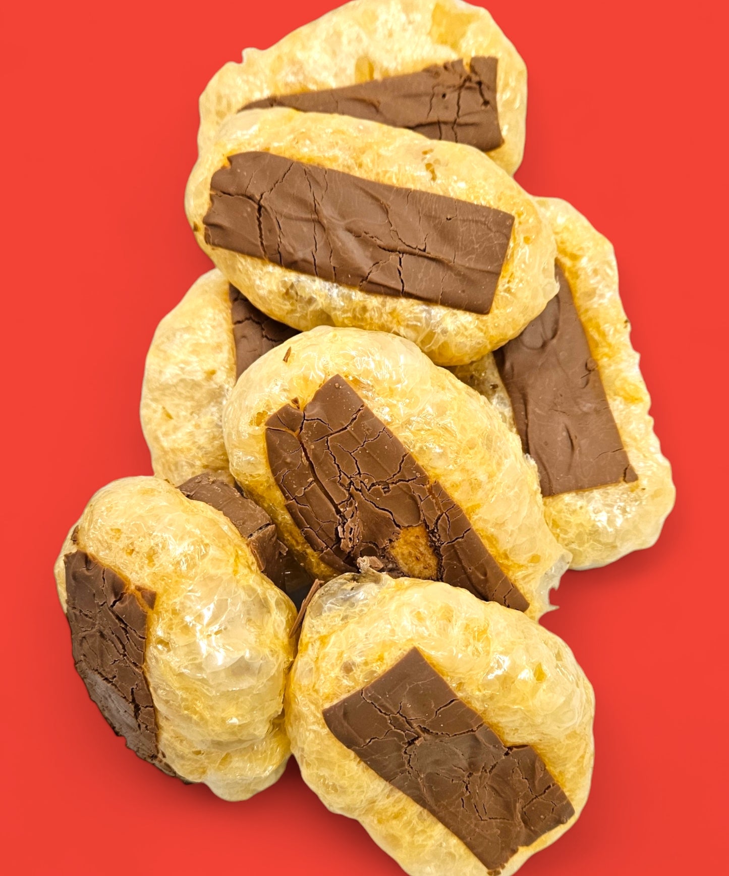 Freeze Dried Chocolate Covered Caramel and Nougat Bar